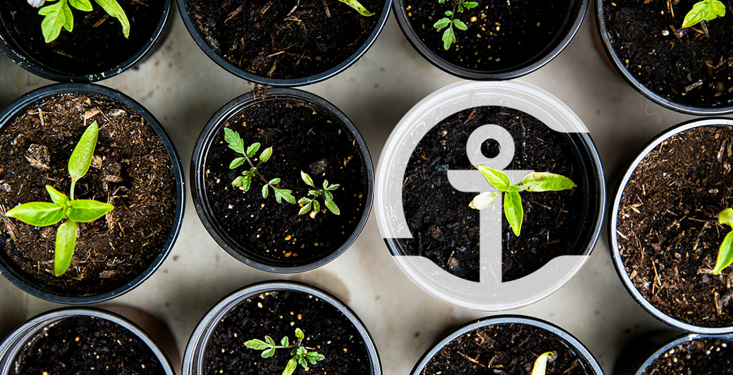 Savings accounts, explained simply Financial Smarts